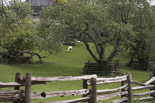 Black Creek Pioneer Village